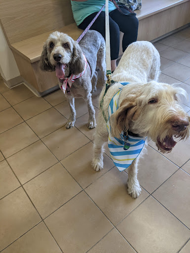 Gilmer Park Animal Clinic image