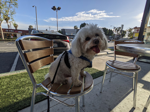 Dessert Shop «Salju Dessert», reviews and photos, 35 W Valley Blvd, Alhambra, CA 91801, USA