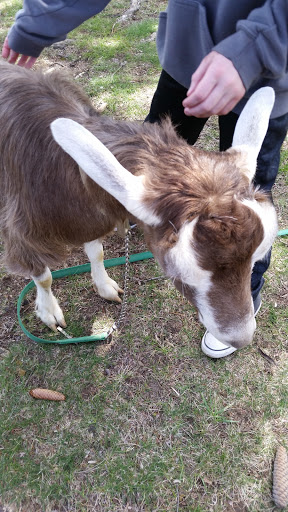 Park «North Olmsted Community Park», reviews and photos, 28114 Lorain Rd, North Olmsted, OH 44070, USA