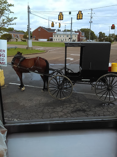 Grocery Store «Save-A-Lot», reviews and photos, 225 Water St, Savannah, TN 38372, USA