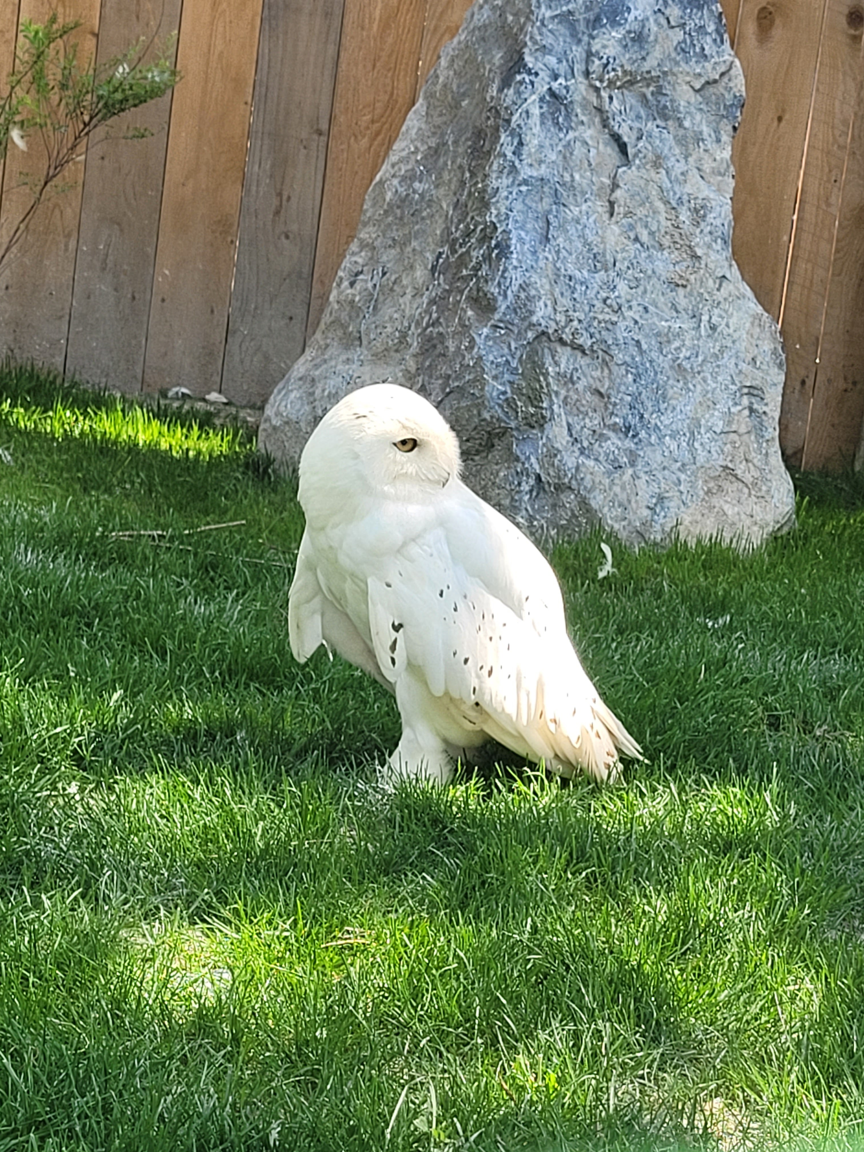 Photo n° 4 de l'avis de Laëtitia.L fait le 19/06/2023 à 13:54