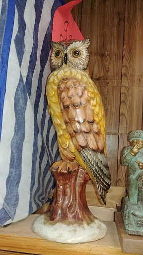 Non-Profit Organization «Youth Alternatives Thrift Shop», reviews and photos, 3103 West Ave, San Antonio, TX 78213, USA