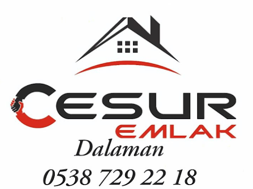 Cesur Emlak