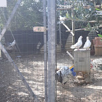 Photo n°3 de l'avis de Oana.t fait le 15/09/2019 à 15:45 sur le  Ristorante Il Casale di nonna Luì à Cervarese Santa Croce