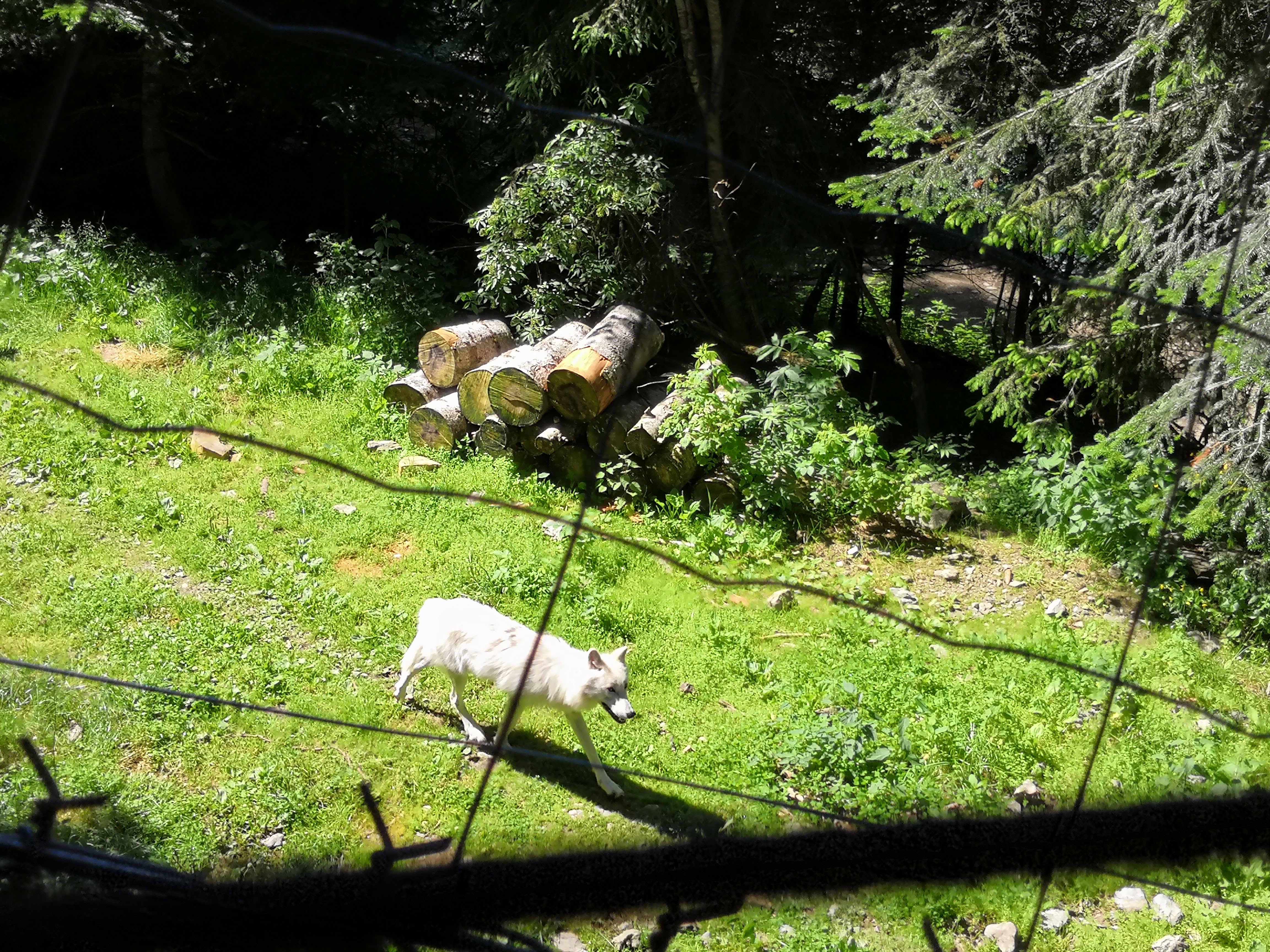 Photo n° 1 de l'avis de Cristelle.s fait le 30/06/2020 à 11:59