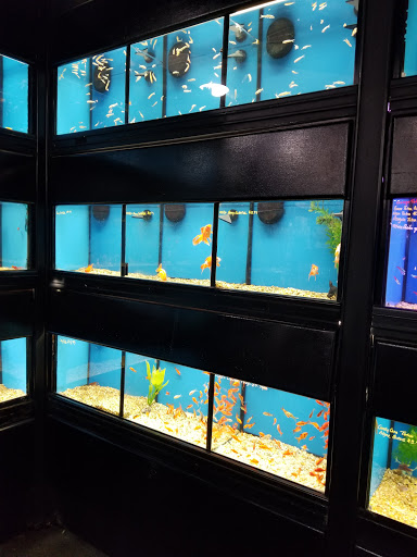 Pet Supply Store «Pet Goods», reviews and photos, 10 Commerce Blvd, Succasunna, NJ 07876, USA