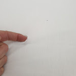 Photo n°18 de l'avis de Olues. fait le 14/05/2019 à 16:35 sur le  Am Stadtrand à Ostfildern