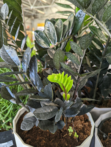 Department Store «Walmart Supercenter», reviews and photos, 4115 E Lincoln Way, Sterling, IL 61081, USA