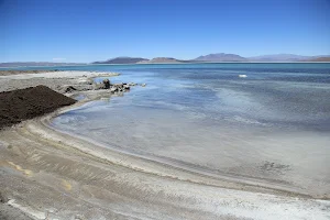 Lago Salar del Hombre Muerto image