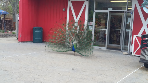 Zoo «Potawatomi Zoo», reviews and photos, 500 S Greenlawn Ave, South Bend, IN 46615, USA