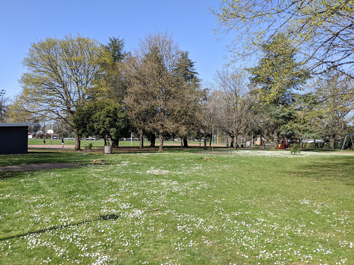 Bloomington Park