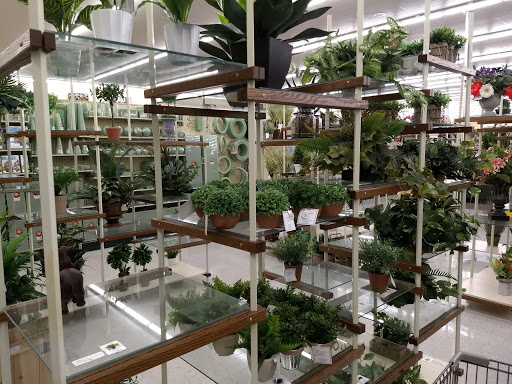 Craft Store «Hobby Lobby», reviews and photos, 6718 Gilmore Rd, Hamilton, OH 45011, USA