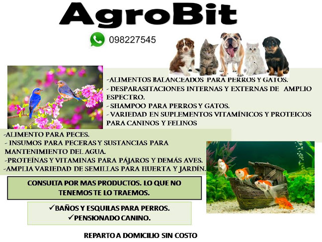 Opiniones de AgroBit en Rocha - Veterinario