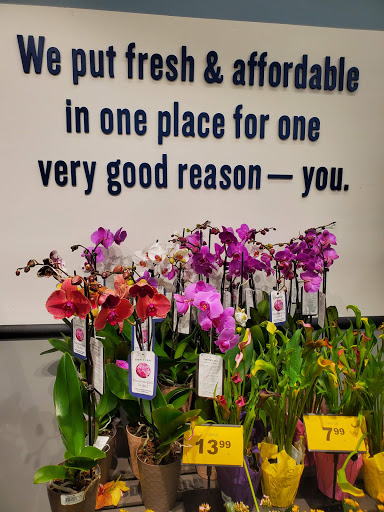 Grocery Store «Food Lion», reviews and photos, 46 Madison Plaza Dr, Madison, VA 22727, USA