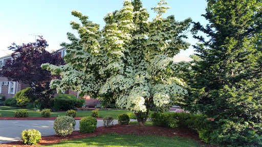 Museum «Queens County Farm Museum», reviews and photos, 73-50 Little Neck Pkwy, Queens, NY 11004, USA