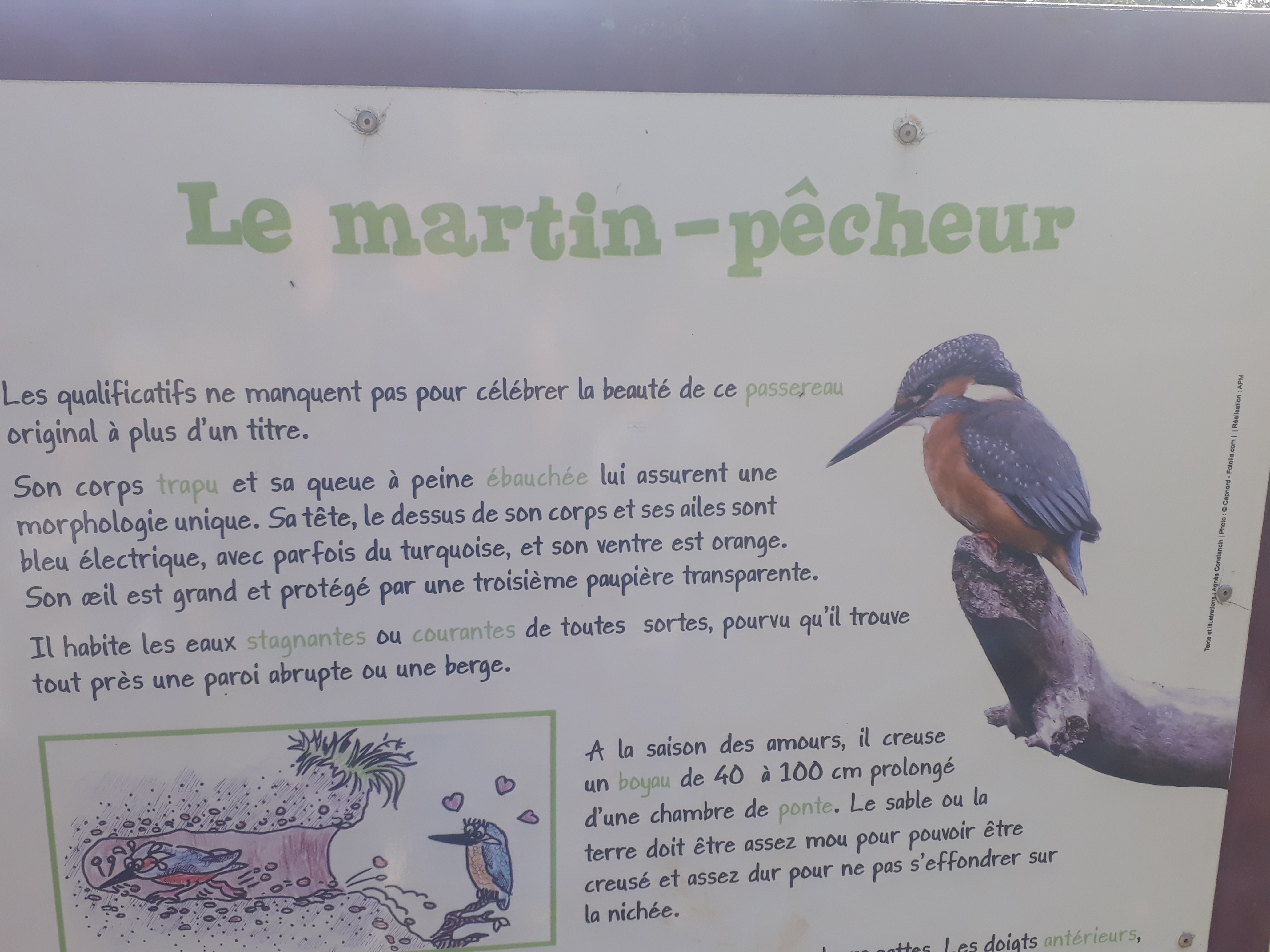 Photo n° 1 de l'avis de Karine.o fait le 13/08/2019 à 20:41