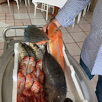 Photo n°1 de l'avis de momi.a fait le 11/03/2020 à 13:49 sur le  Villa Gloria à Pizzolano