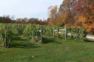 Butler Winery and Vineyards
