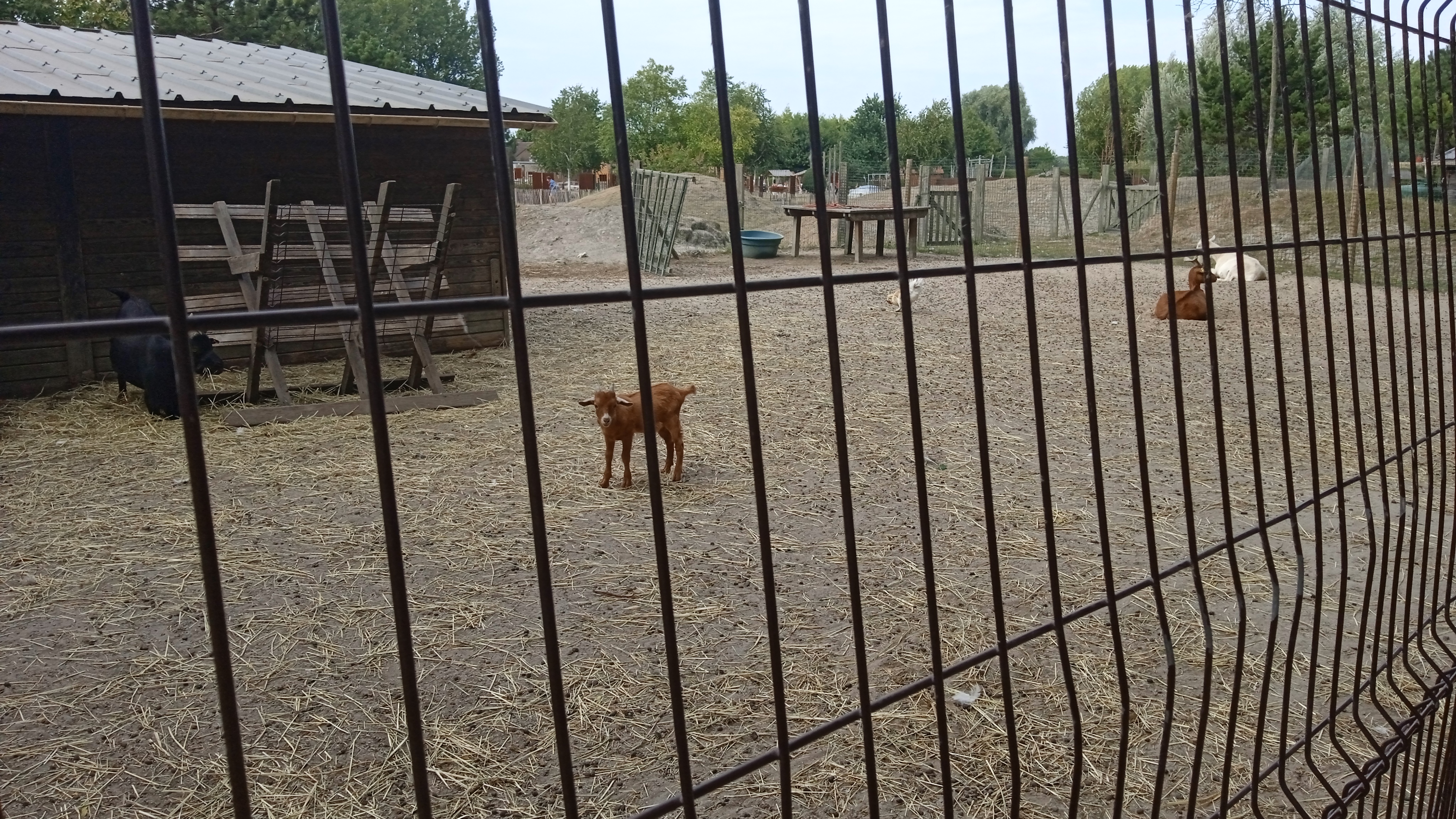 Photo n° 21 de l'avis de Phillipe.a fait le 15/08/2022 à 15:48