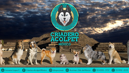 Criadero Acolpet Mexico