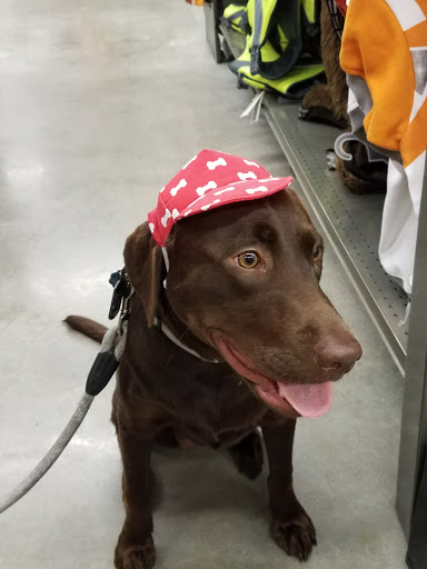 Pet Supply Store «Petco Animal Supplies», reviews and photos, 9350 US 49 a, Gulfport, MS 39503, USA