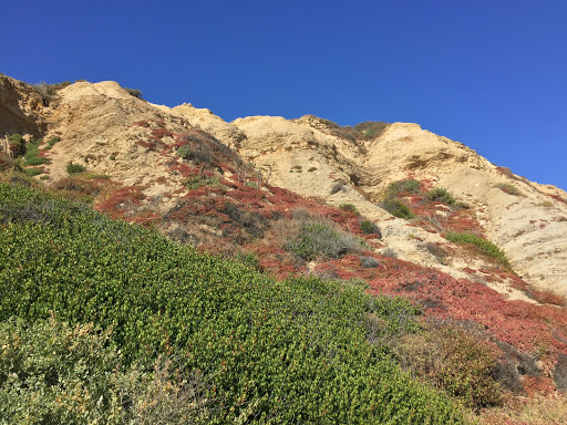 Park «Crystal Cove State Park Historic District», reviews and photos, 5 Crystal Cove & Newport Coast, Newport Beach, CA 92657, USA