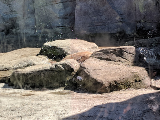 Zoo «Washington Park Zoo», reviews and photos, 115 Lake Shore Dr, Michigan City, IN 46360, USA