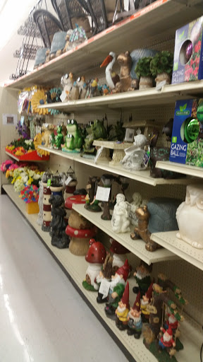 Big Lots image 3