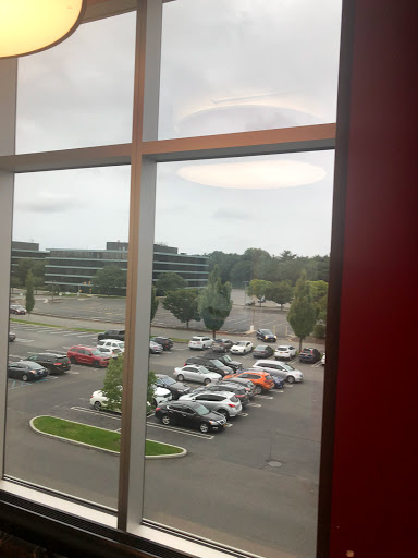 Movie Theater «AMC Roosevelt Field 8», reviews and photos, 630 Old Country Rd, Garden City, NY 11530, USA