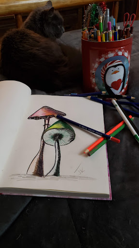 Craft Store «Michaels», reviews and photos, 8018 Mediterranean Drive, Estero, FL 33928, USA