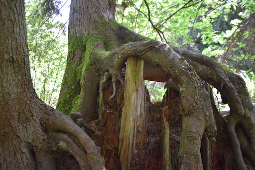 State Park «Dash Point State Park», reviews and photos, 5700 SW Dash Point Rd, Federal Way, WA 98023, USA