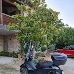 Photo n°5 de l'avis de Felice.a fait le 24/07/2022 à 05:28 sur le  Ristorante Marisa à Stigliano