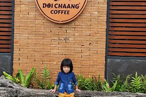 Doi Chang Coffee image