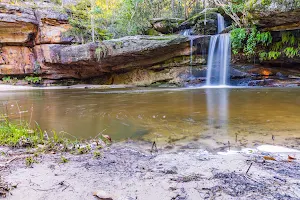Irrawong Waterfall image