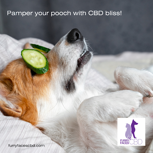 Furry Faces Pet CBD