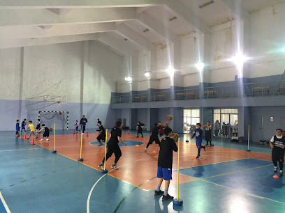 İzmir Ege Basketbol Spor Kulübü