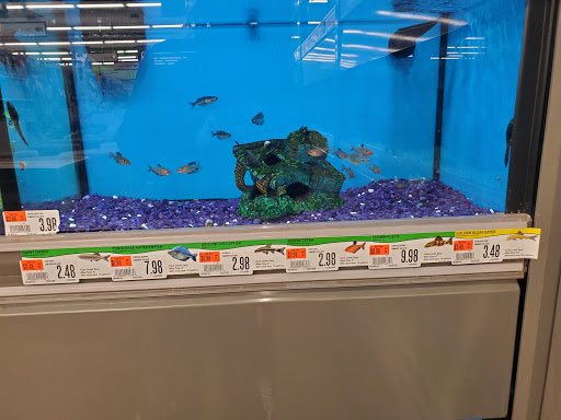 Pet Supply Store «Pet Supplies Plus», reviews and photos, 720 Hoosick Rd, Troy, NY 12180, USA