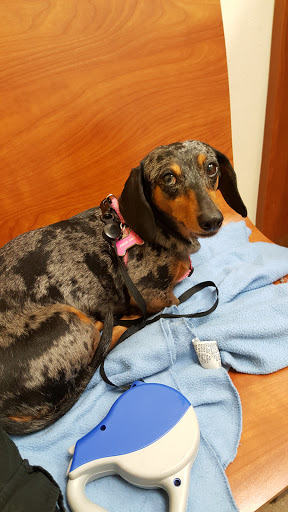 Pet Supply Store «PetSmart», reviews and photos, 1900 W International Speedway Blvd, Daytona Beach, FL 32114, USA