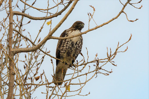 Nature Preserve «Woodbridge Ecological Reserve», reviews and photos, 7730 W Woodbridge Rd, Lodi, CA 95242, USA