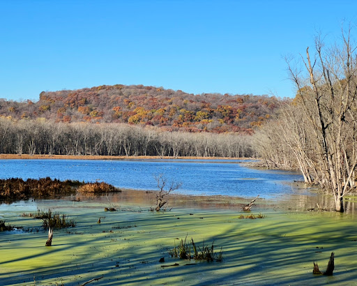 National Park «Effigy Mounds National Monument», reviews and photos, 151 IA-76, Harpers Ferry, IA 52146, USA