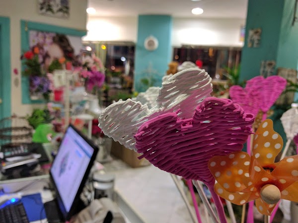 Flor de loto