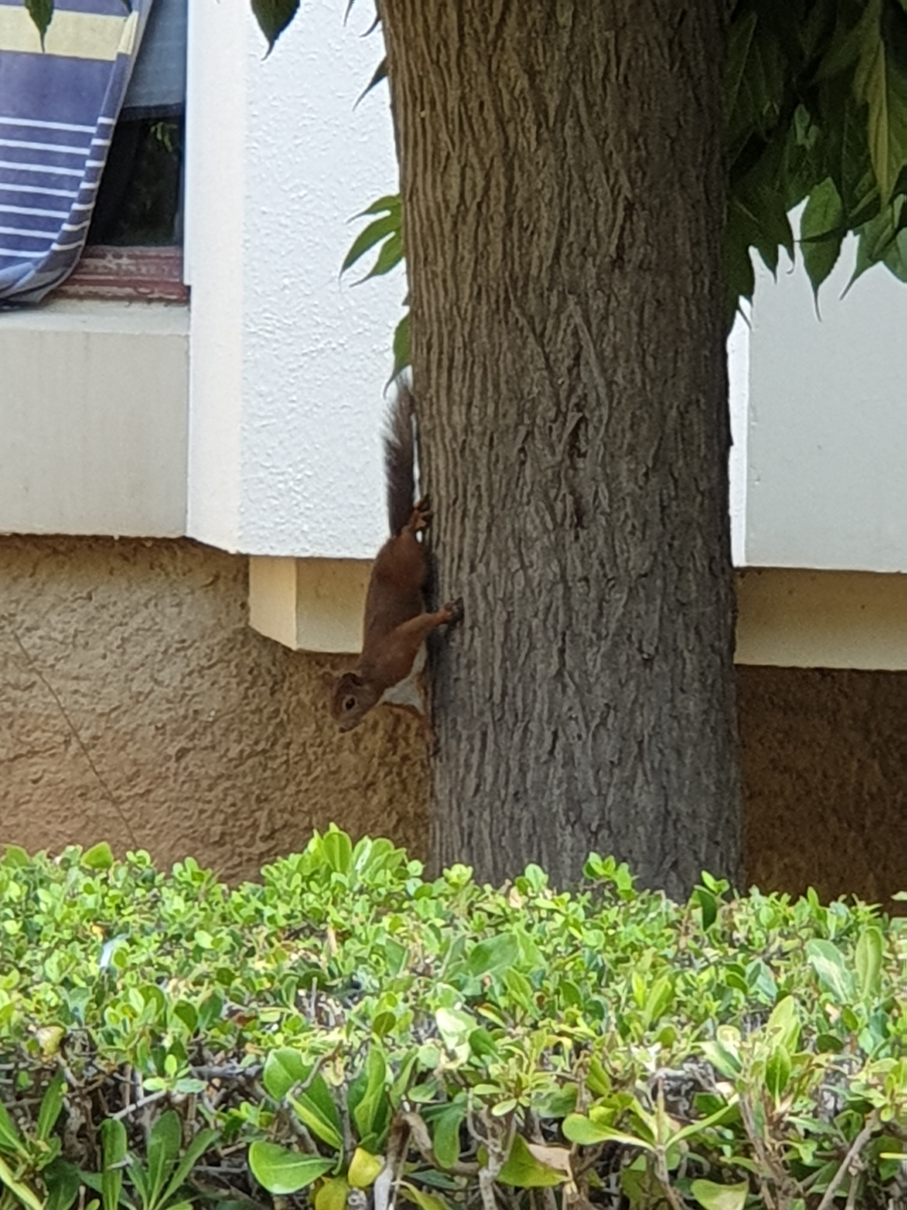 Photo n° 6 de l'avis de Alias. fait le 10/07/2019 à 15:30