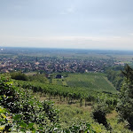 Photo n° 3 de l'avis de Tanguy.e fait le 30/08/2023 à 19:43 pour La Volerie des Aigles à Kintzheim