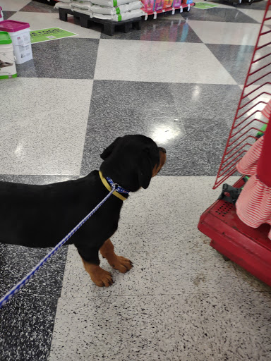 Pet Supply Store «Petco Animal Supplies», reviews and photos, 2722 N Josey Ln #107, Carrollton, TX 75007, USA