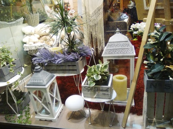 Flores Mera