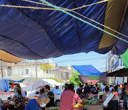 Tianguis Madre Tierra photo