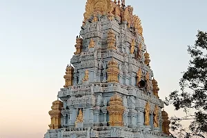 Guddam Ranganatha Swamy Temple image