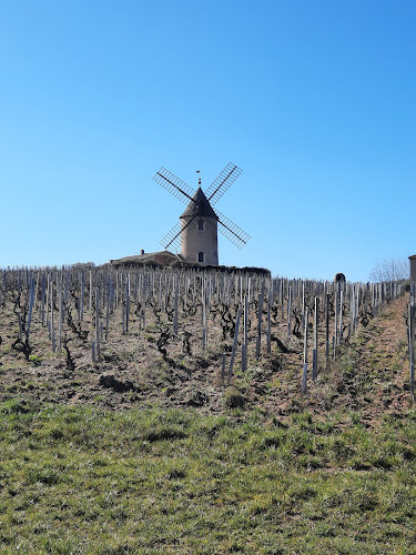 Magasin de vins et spiritueux Château Portier Romanèche-Thorins