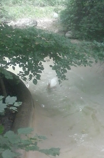 Park «Bever Park», reviews and photos, 2700 Bever Ave SE, Cedar Rapids, IA 52403, USA