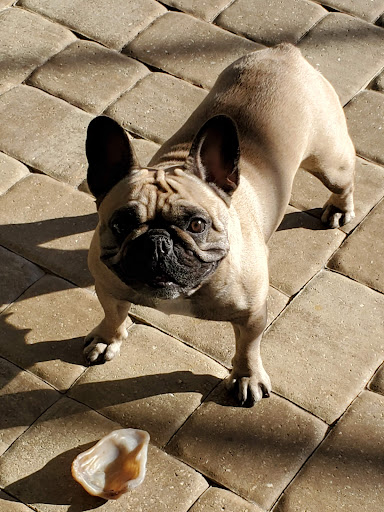 Pet Store «The Pet Zone», reviews and photos, 2001 South Rd, Poughkeepsie, NY 12601, USA